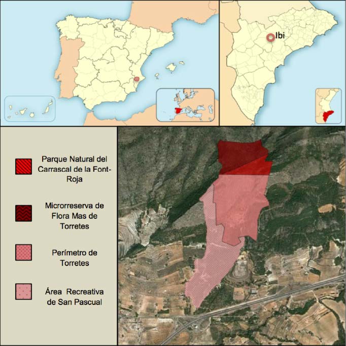 Figura 1: Áreas protegidas: Delimitación (Palomo, 2017).