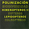 Polinización y biodiversidad: Himenópteros II