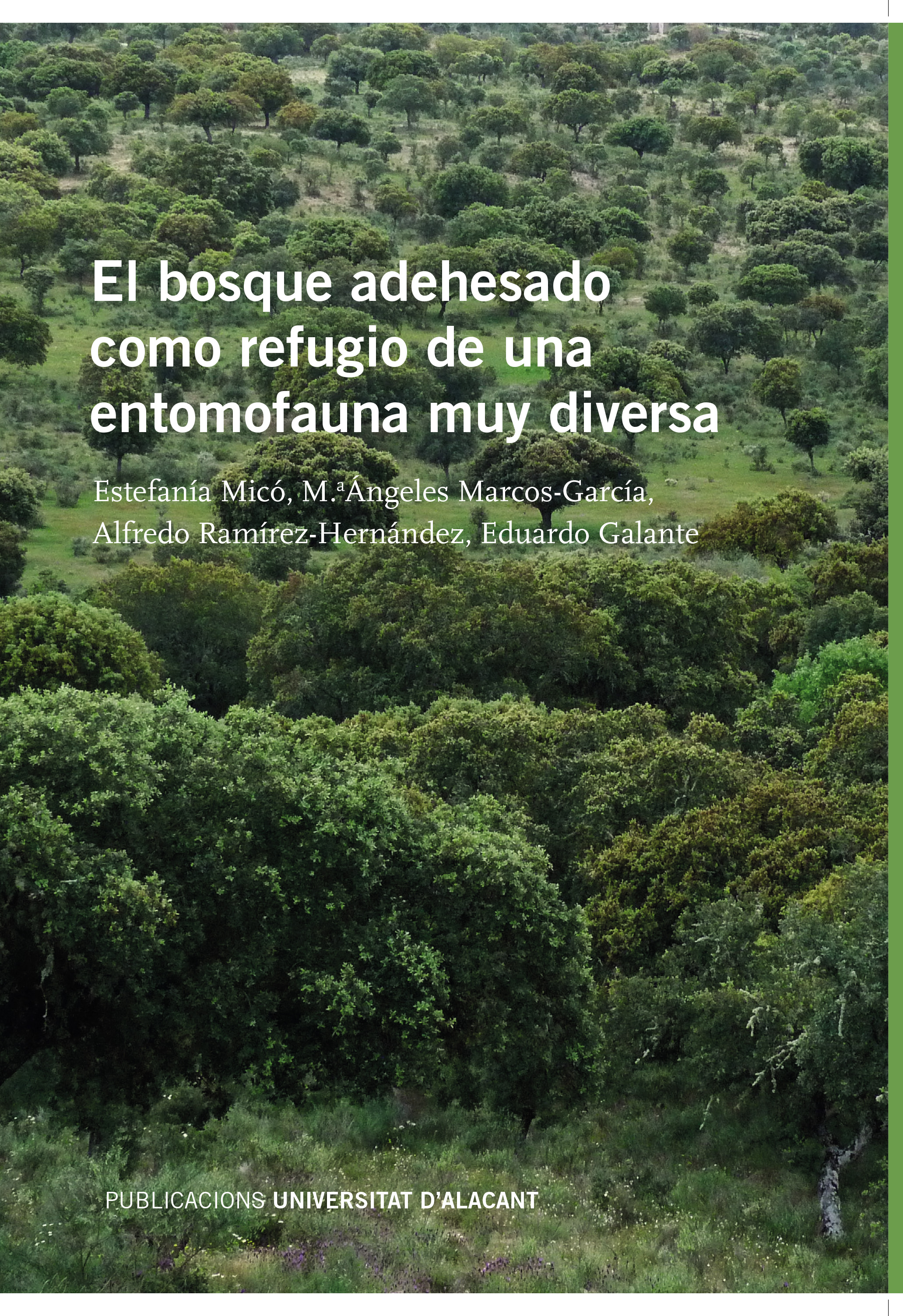 Nueva publicación: El bosque adehesado como refugio de una entomofauna muy diversa