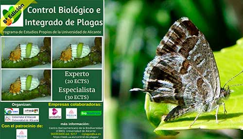 Cursos de Experto y Especialista en Control Biológico e Integrado de Plagas. Universidad de Alicante