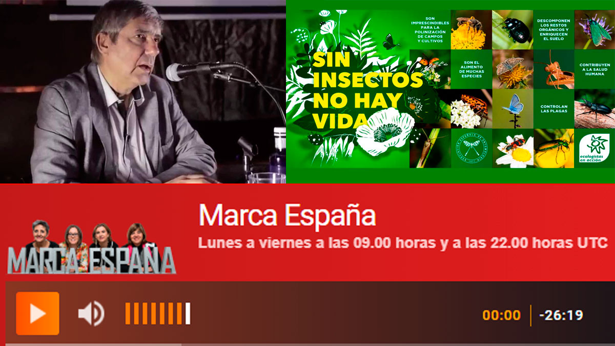 Marca España - Campaña «Sin insectos no hay vida» con nuestro consocio José Luis Viejo