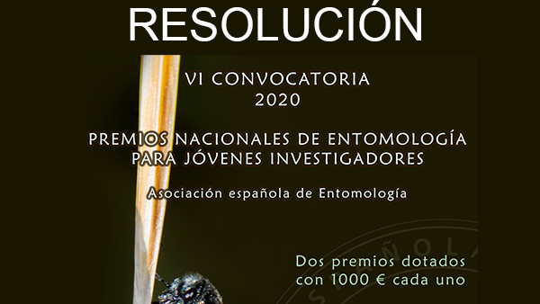 Resolución de los VI Premios Nacionales de Entomología para Jóvenes Investigadores