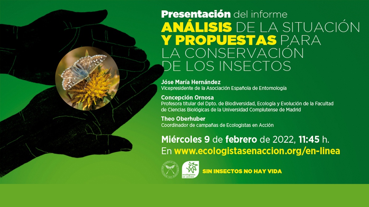 Presentación del informe «Análisis de la situación y propuestas para la conservación de los insectos» 9 de febrero de 2022