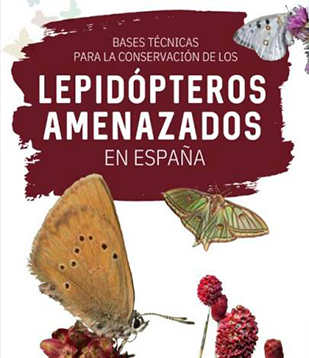Bases Técnicas para la Conservación de los Lepidópteros Amenazados de España