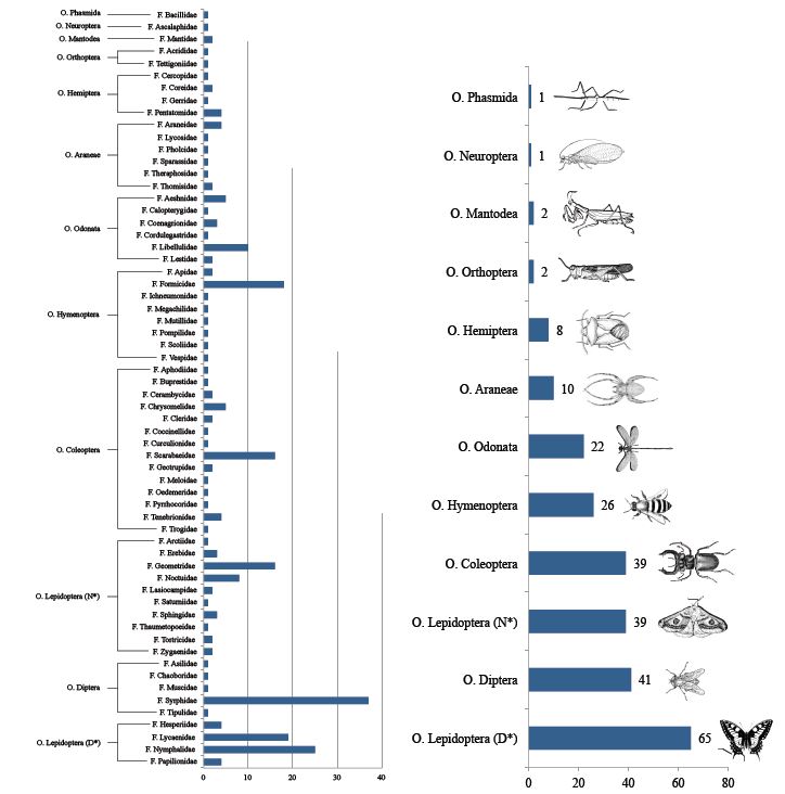 Figura 2. Especies registradas durante el muestreo en la Estación Biológica de Torretes, englobándolos por familia y por órdenes (Palomo, 2017).
