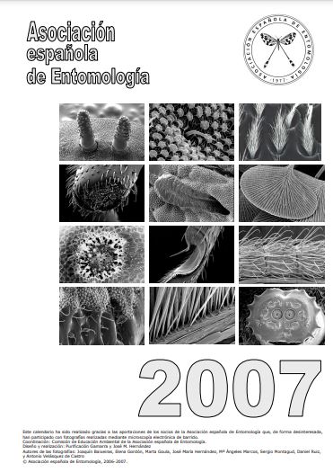 Calendario 2007