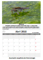 Descargar abril de 2018