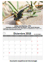 Descargar diciembre de 2018