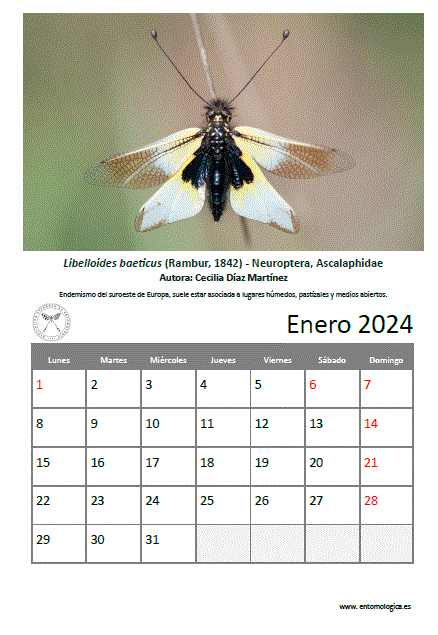 Descargar enero de 2024