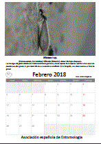 Descargar febrero de 2018