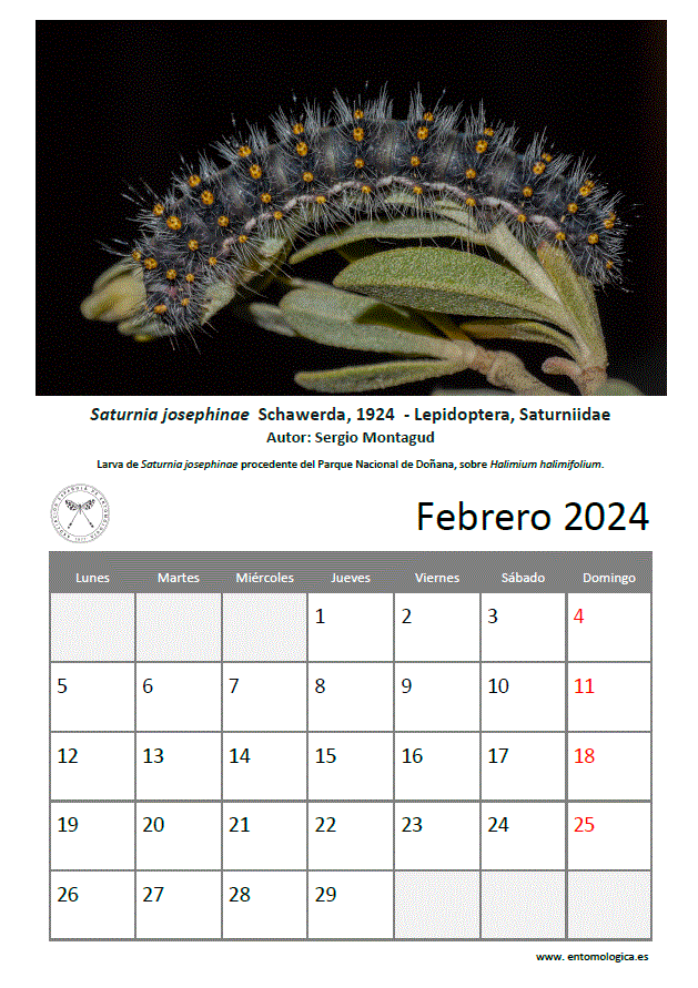 Descargar febrero de 2024