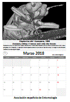 Descargar marzo de 2018