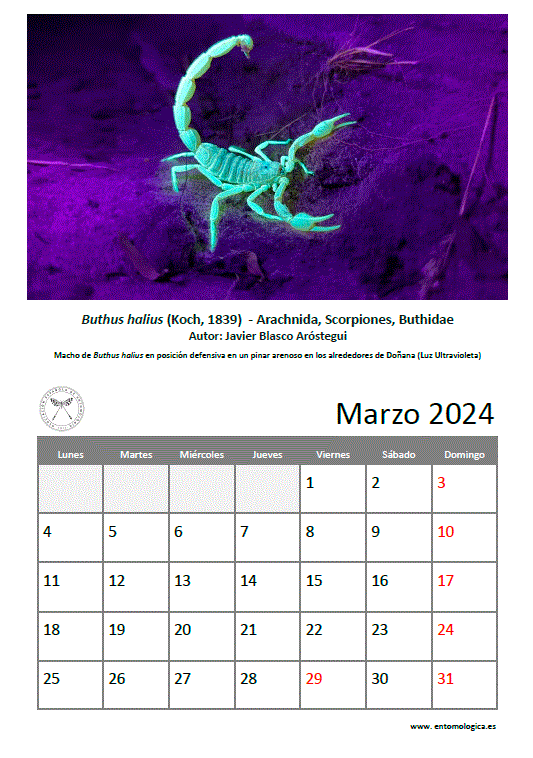 Descargar marzo de 2024