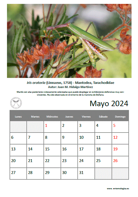 Descargar mayo de 2024