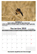 Descargar noviembre de 2018