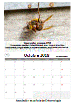 Descargar octubre de 2018