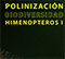 Polinización y biodiversidad: Himenópteros I