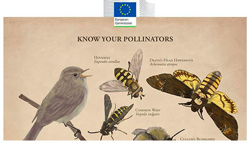 Documental de la European Commision, EU Environment, Science for Environment Policy: Pollinators: importance for nature and human well-being