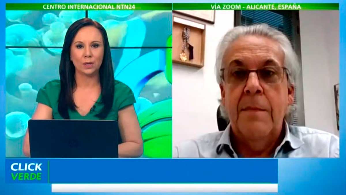 Eduardo Galante, Presidente de la AeE habla sobre la campaña «Sin insectos no hay vida» en Click Verde del canal internacional de Colombia NTN24