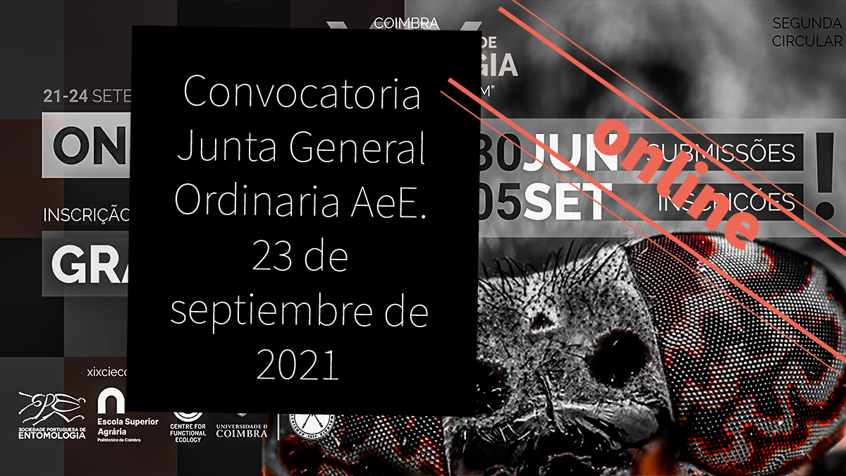 Junta General AeE. 23 de septiembre de 2021 (virtual)