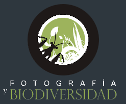 Biodiversidad virtual