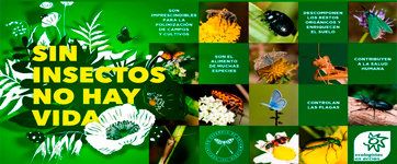 Campaña «Sin insectos no hay vida»