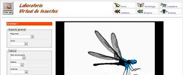Laboratorio Virtual de Insectos