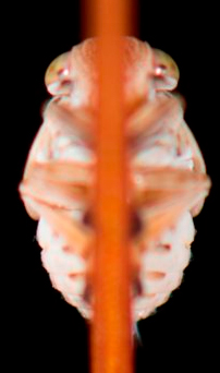 Error 404. Página no encontrada